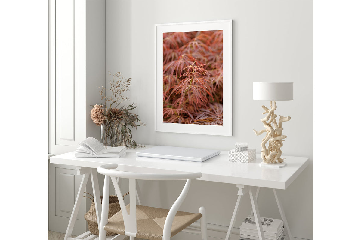 Japanese maple print shown framed in white.