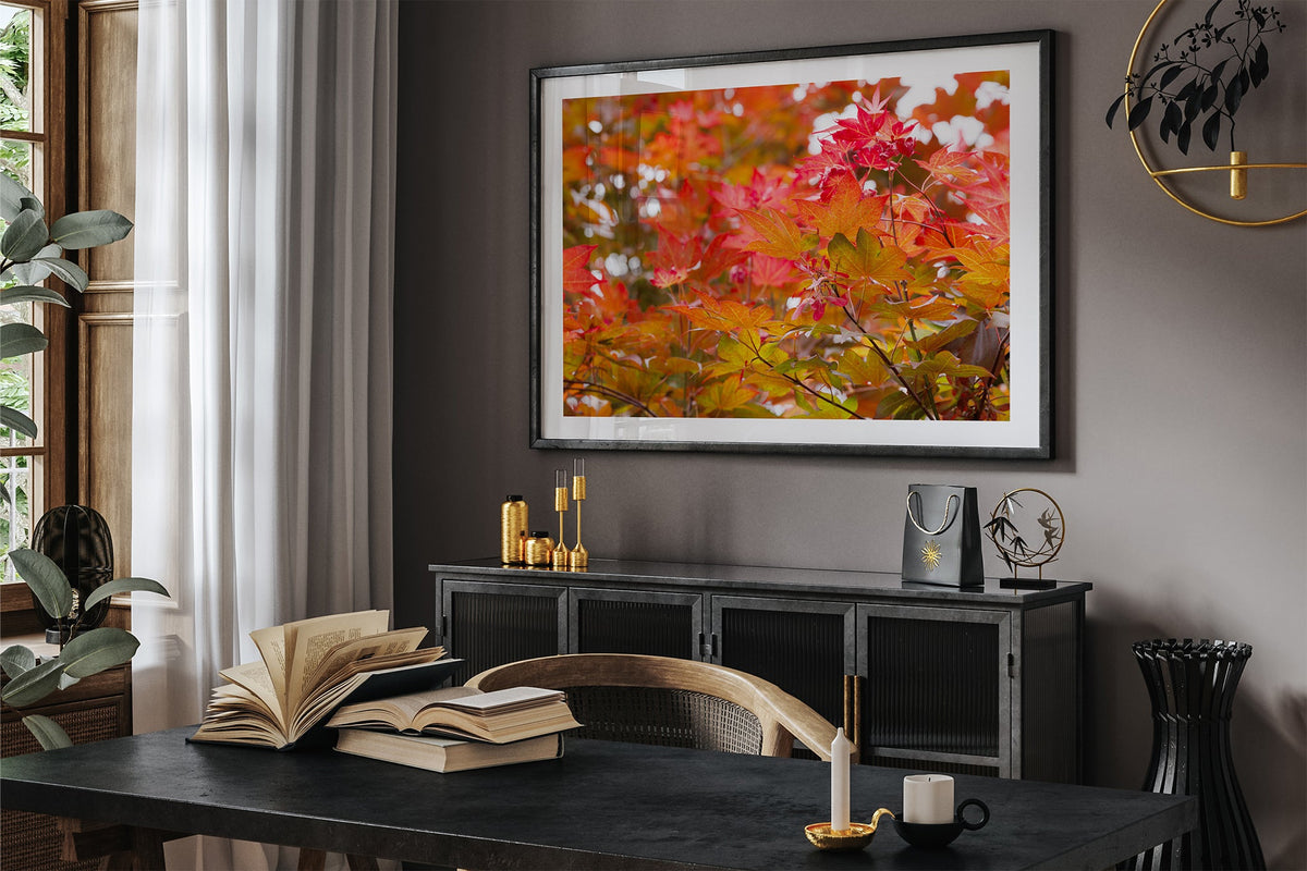 Red maple leaves print shown framed in black in a dark room.
