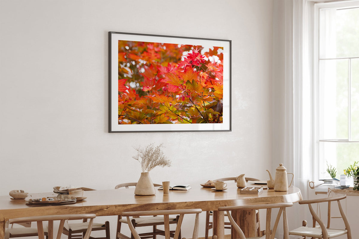 Red maple leaves print shown framed in black above an oak table.