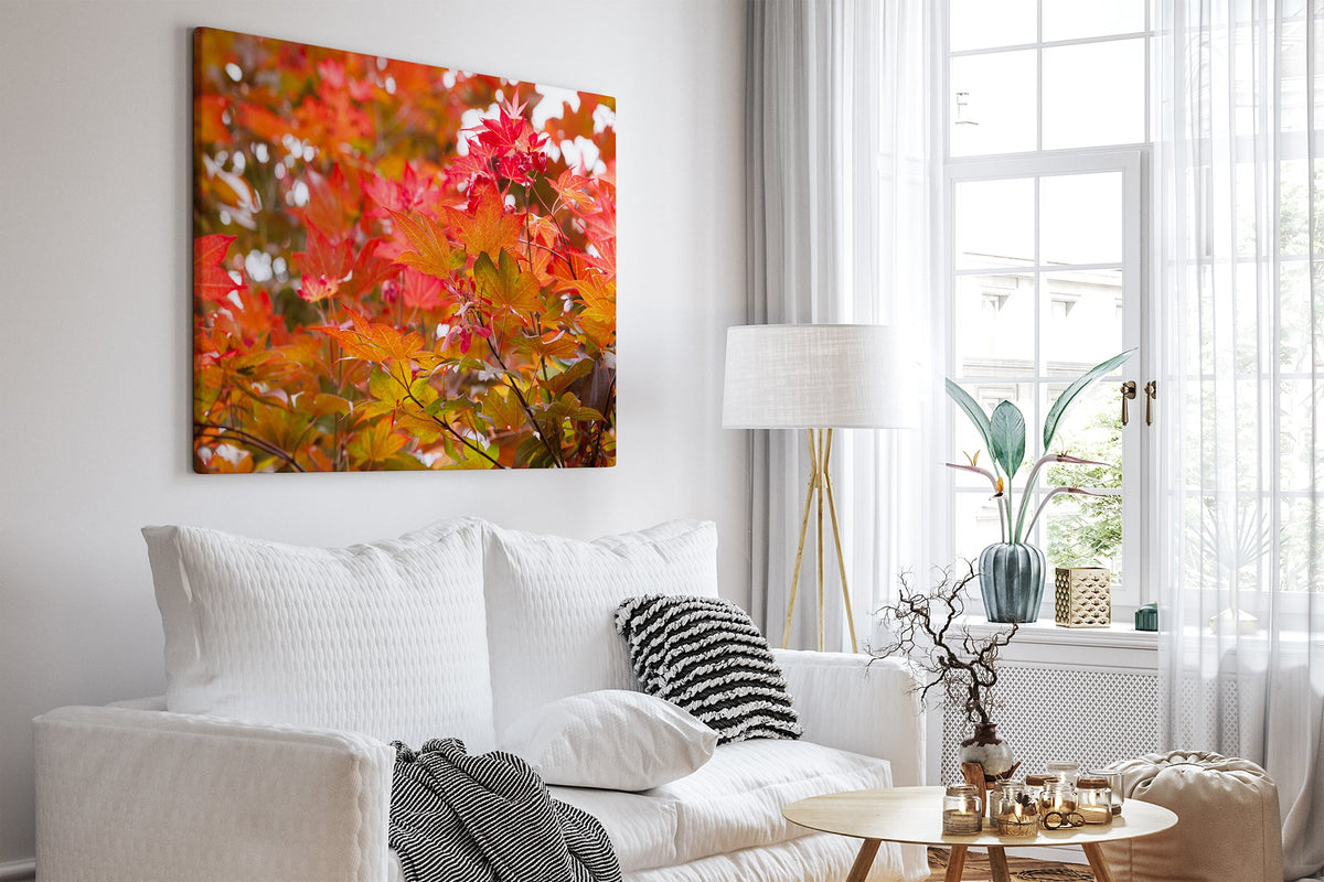 Red maple leaves print shown as a canvas print in a white room.
