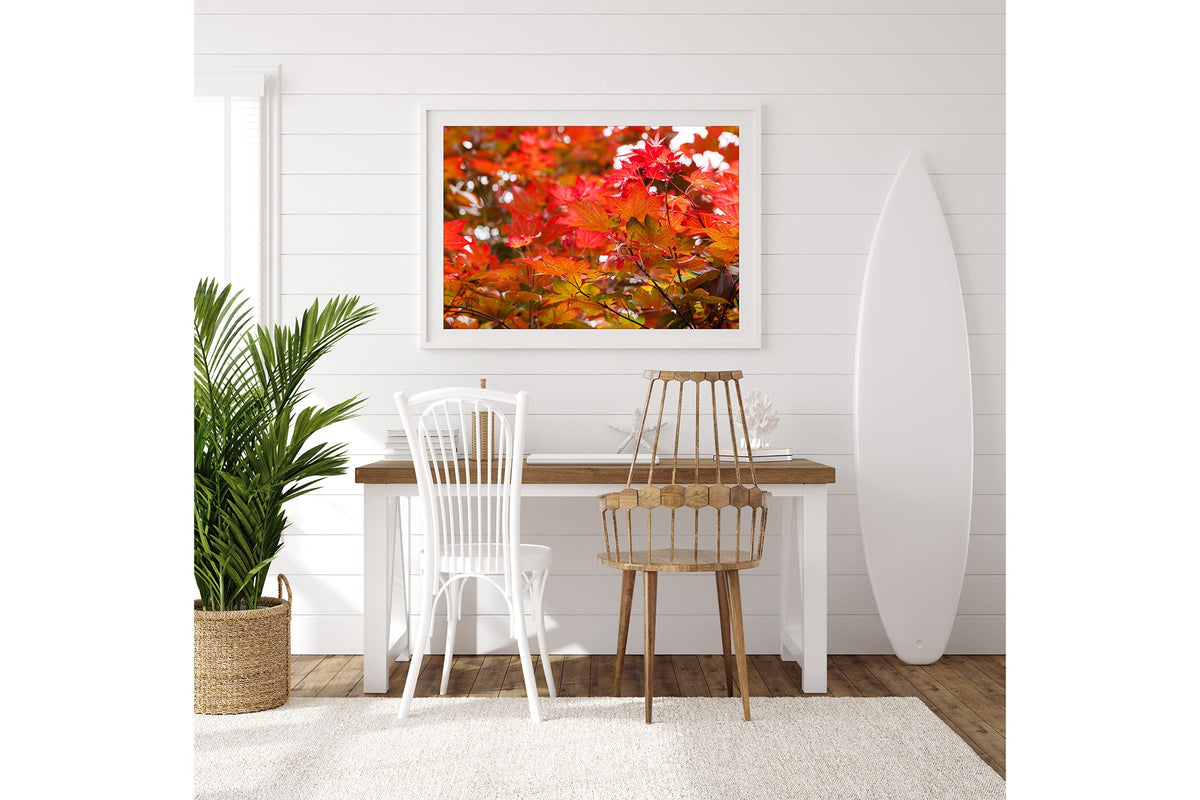 Red maple leaves print shown framed in white on a white shiplap wall beside a desk.
