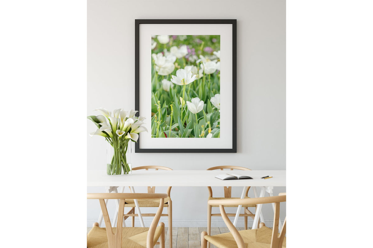 White tulip print shown framed in black.