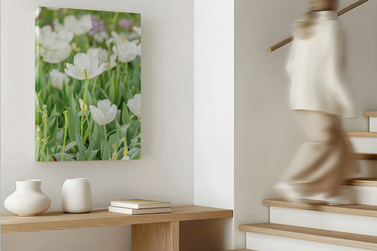 White tulip print shown as a canvas print.