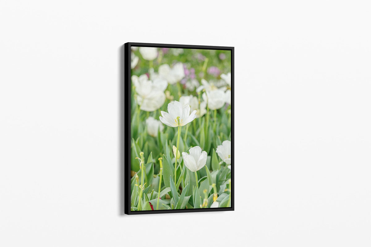 White tulip print shown as a canvas in a black float frame.
