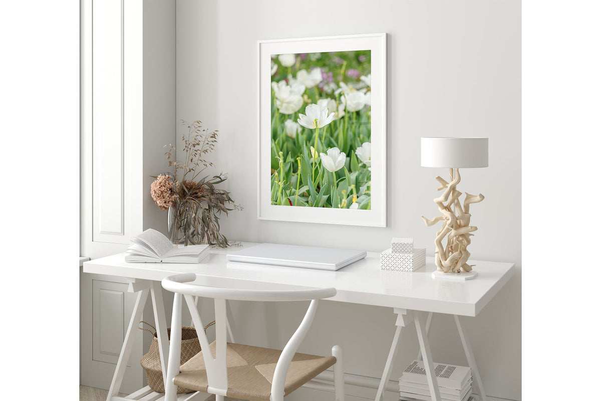 White tulip print shown framed in white.