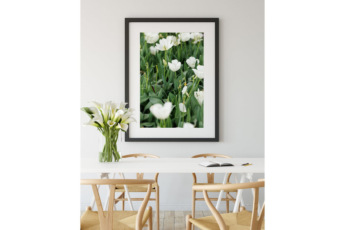 White tulips print shown framed in black.