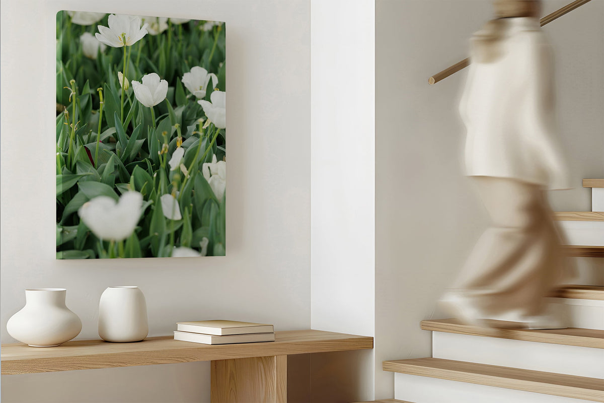 White tulips print shown as a canvas print.