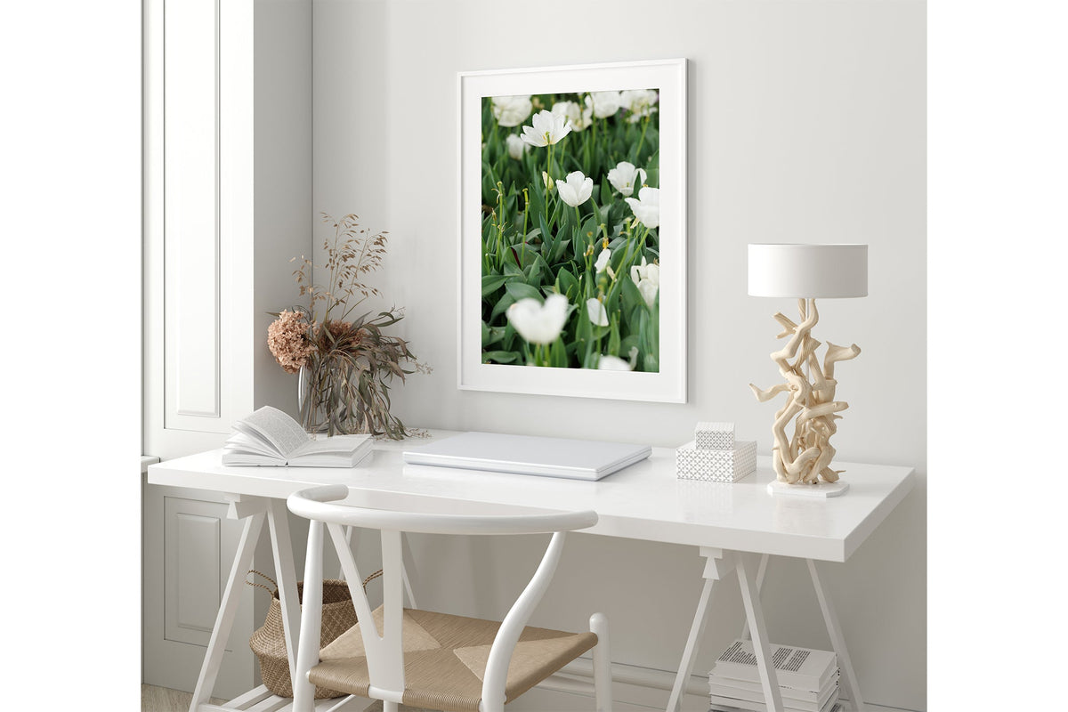 White tulips print shown framed in white.