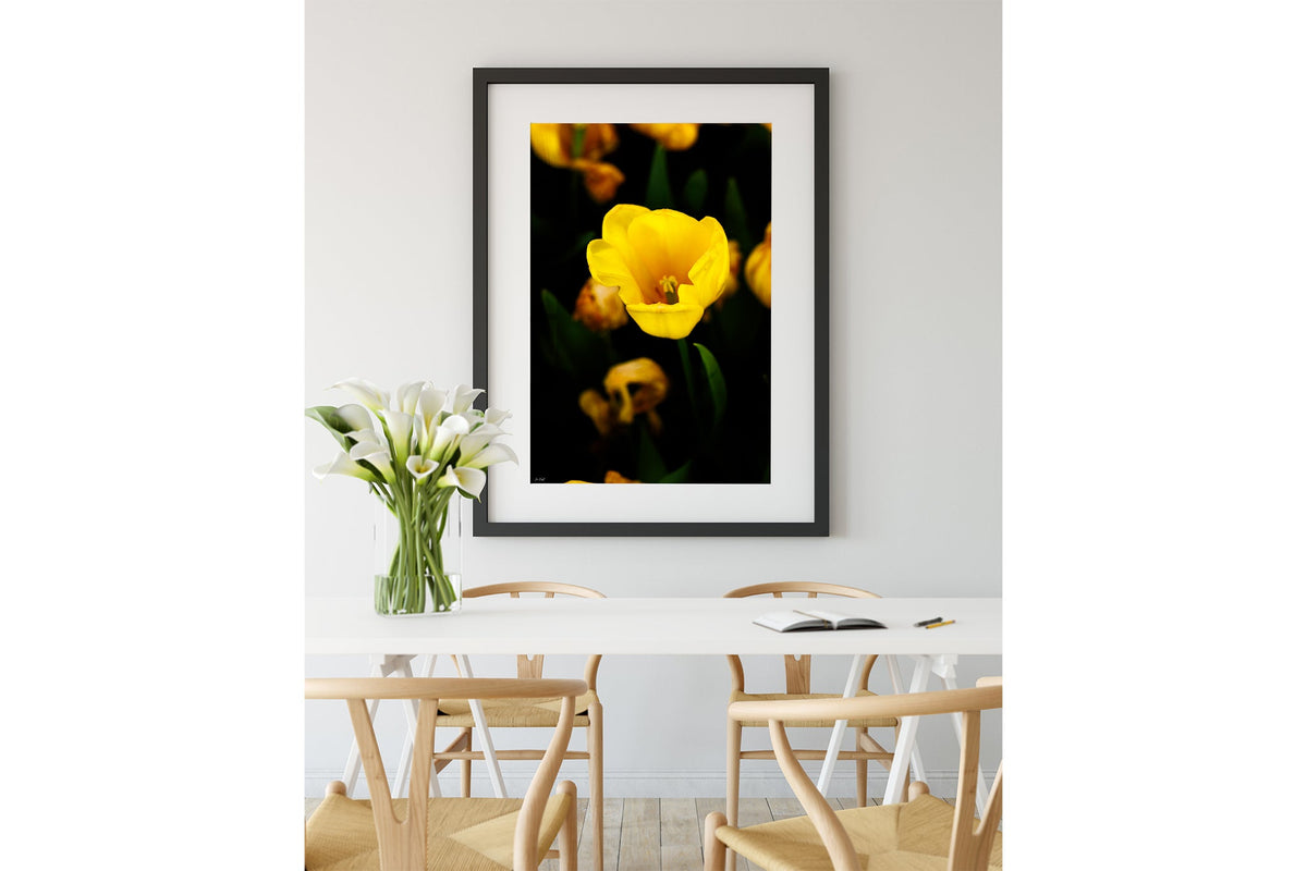 Yellow tulip print shown framed in black.