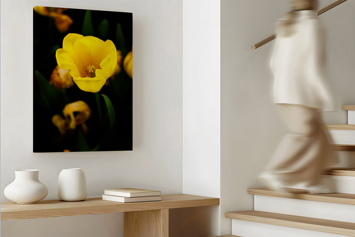 Yellow tulip print shown as a canvas print.