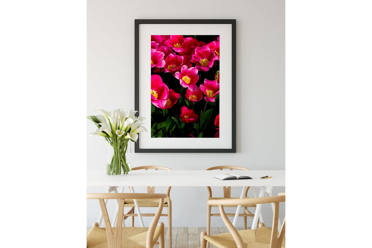 Pink tulip print shown framed in black.