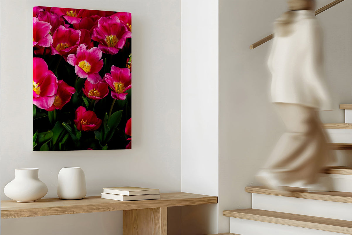 Pink tulip print shown as a canvas print.