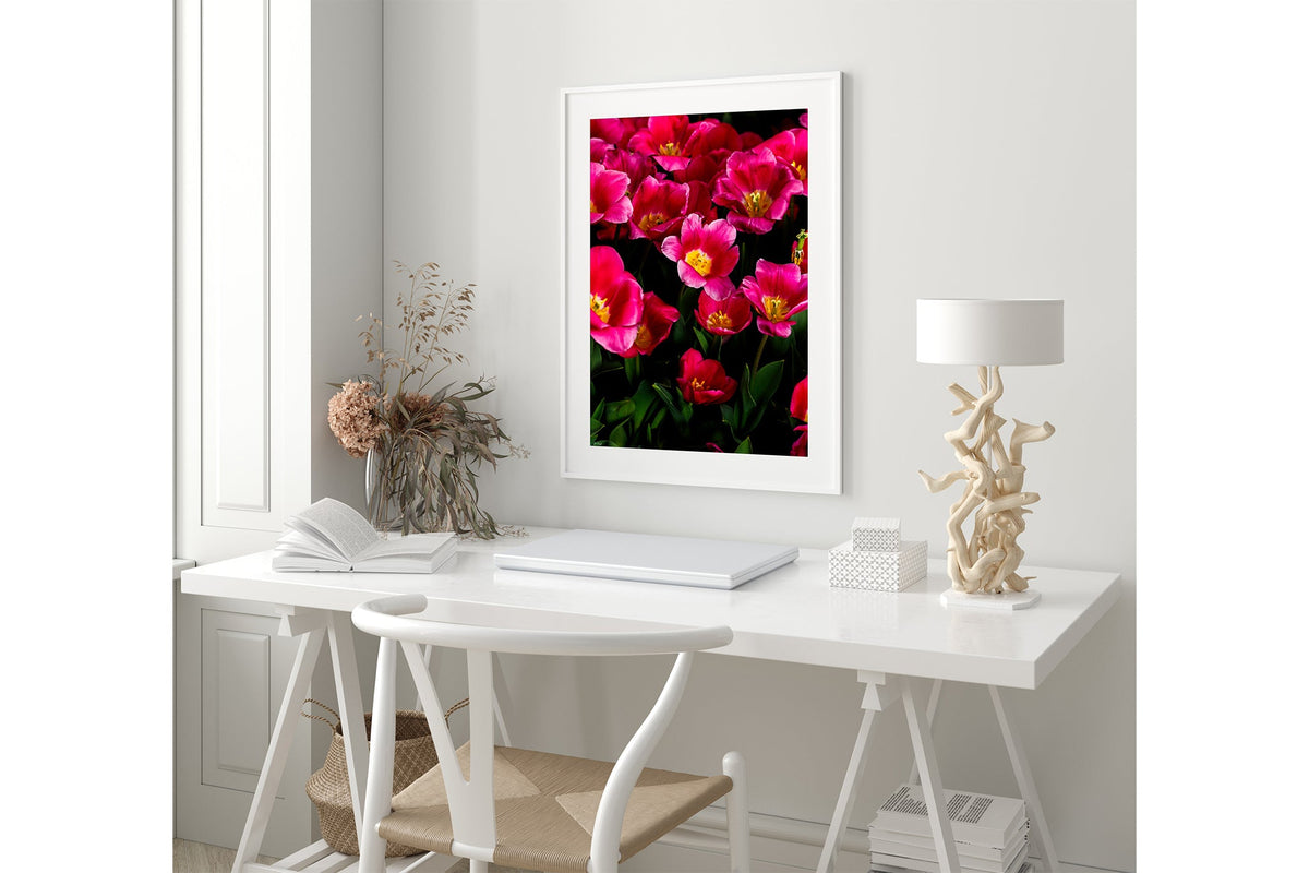 Pink tulip print shown framed in white.