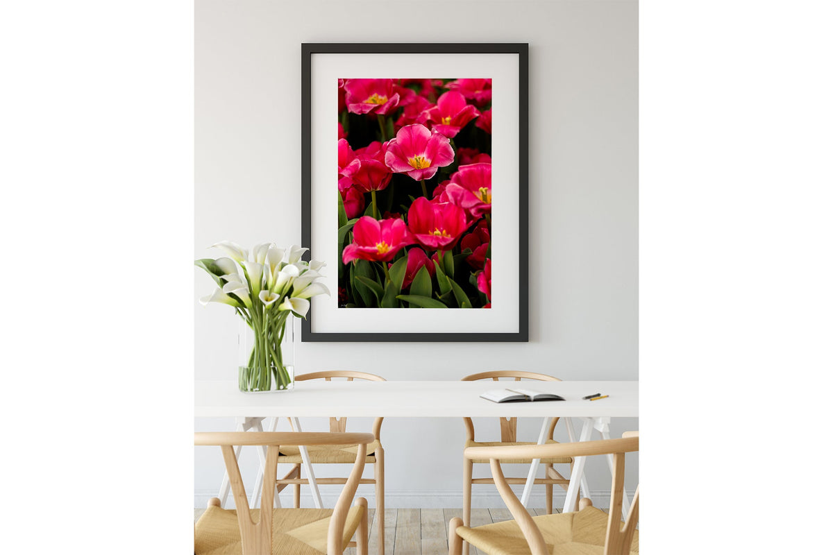 Magenta tulip print shown framed in black.