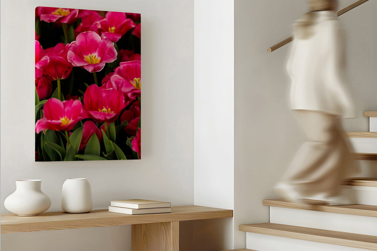 Magenta tulip print shown as a canvas print.