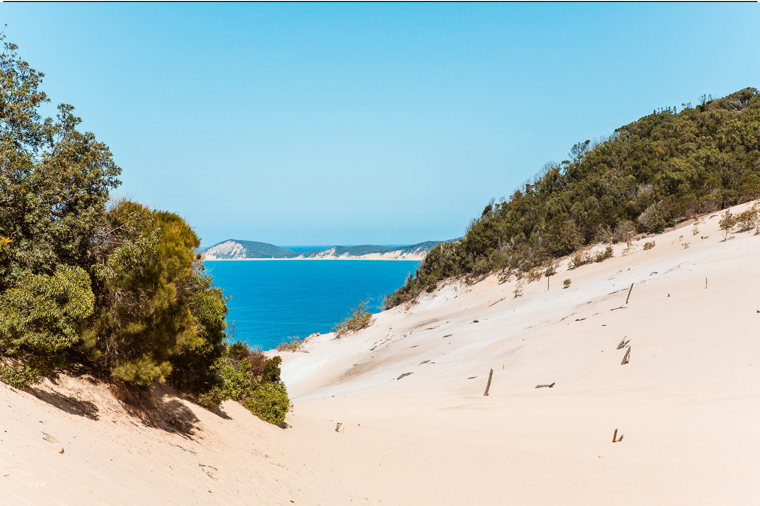 A white sand dune framed by green coastal scrub above deep blue water at Rainbow Beach, a coastal wall print.
