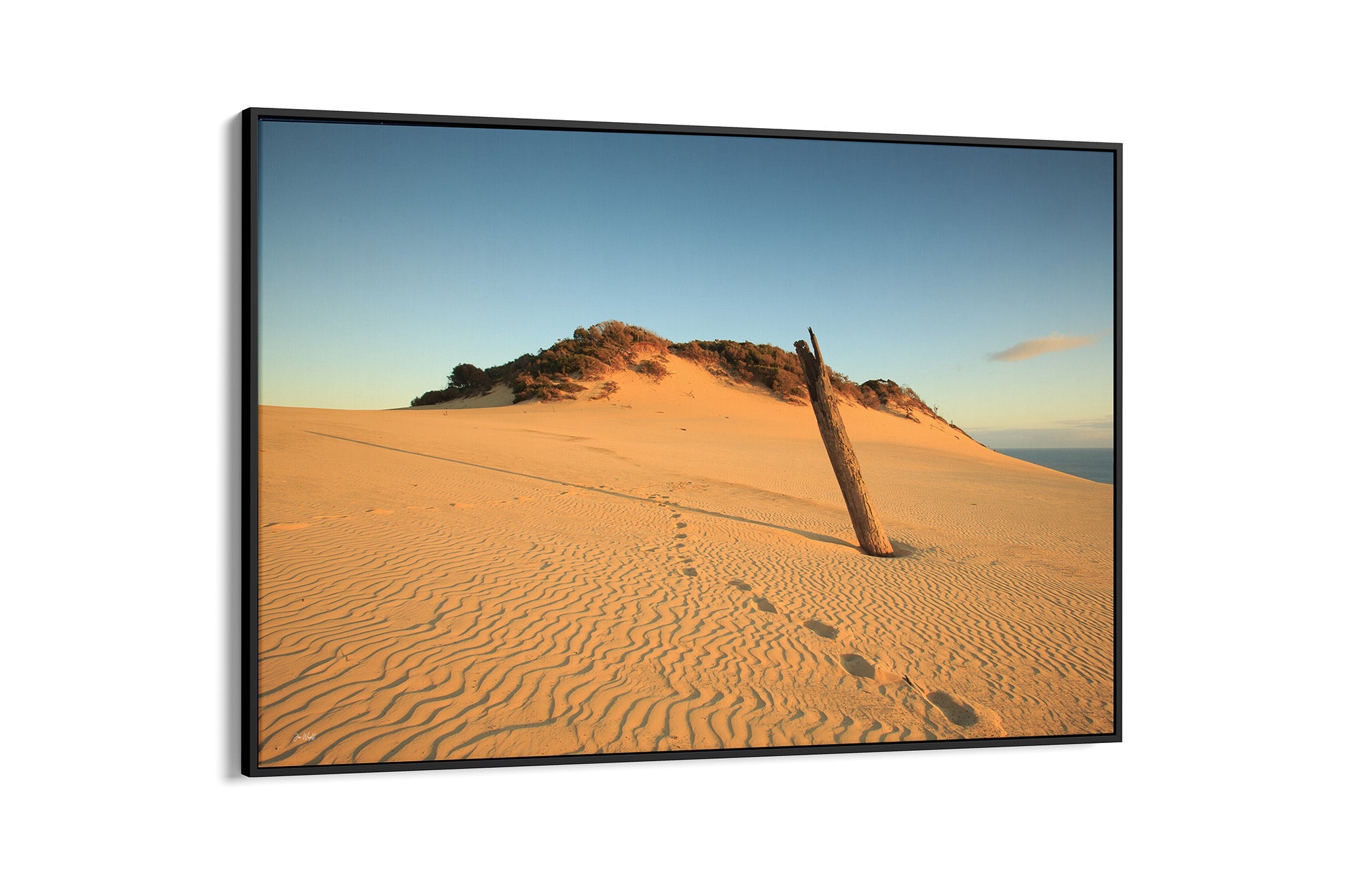 Rainbow Beach dune print shown as a black float frame canvas.