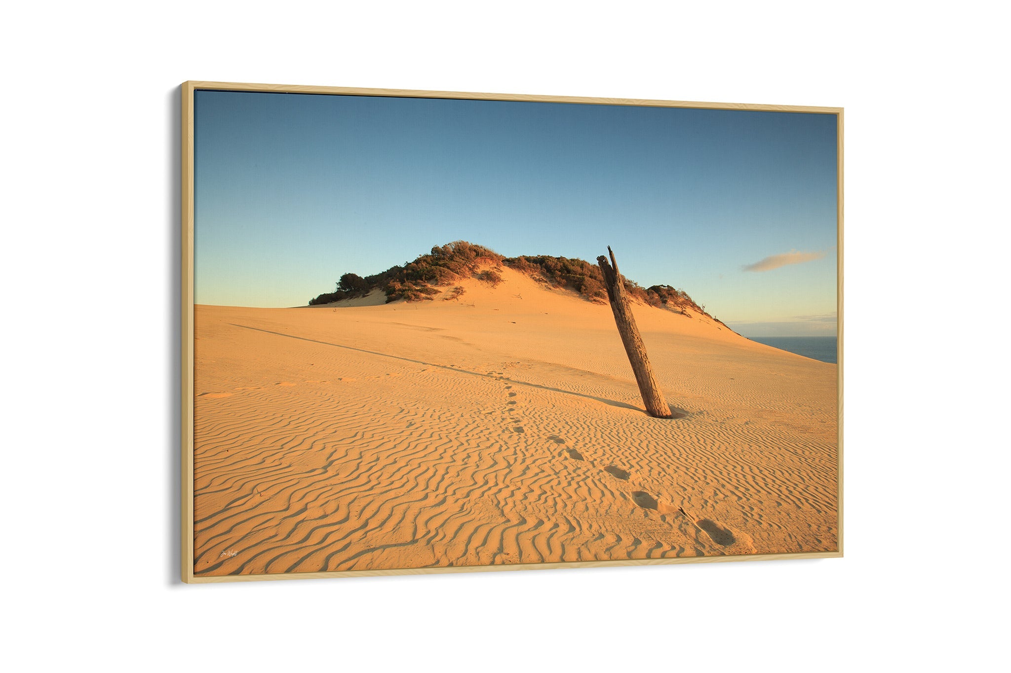 Rainbow Beach dune print shown as an oak float frame canvas.