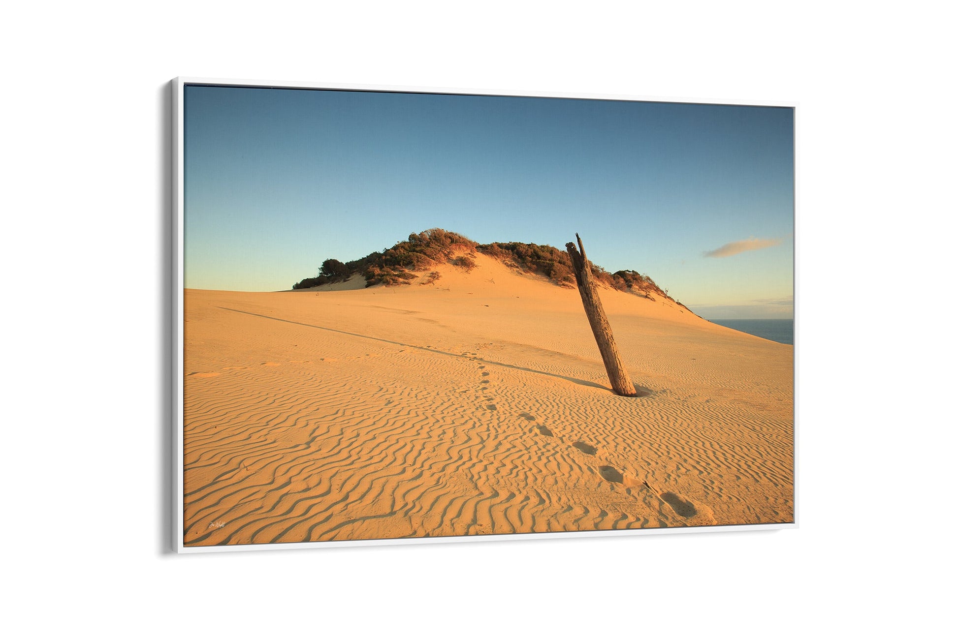 Rainbow Beach dune print shown as a white float frame canvas.
