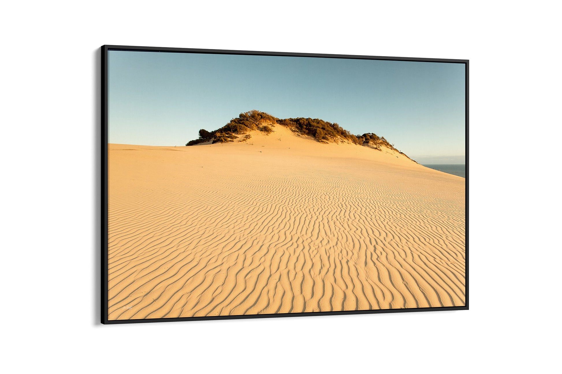 Rainbow Beach golden dunes print shown as a black float frame canvas.