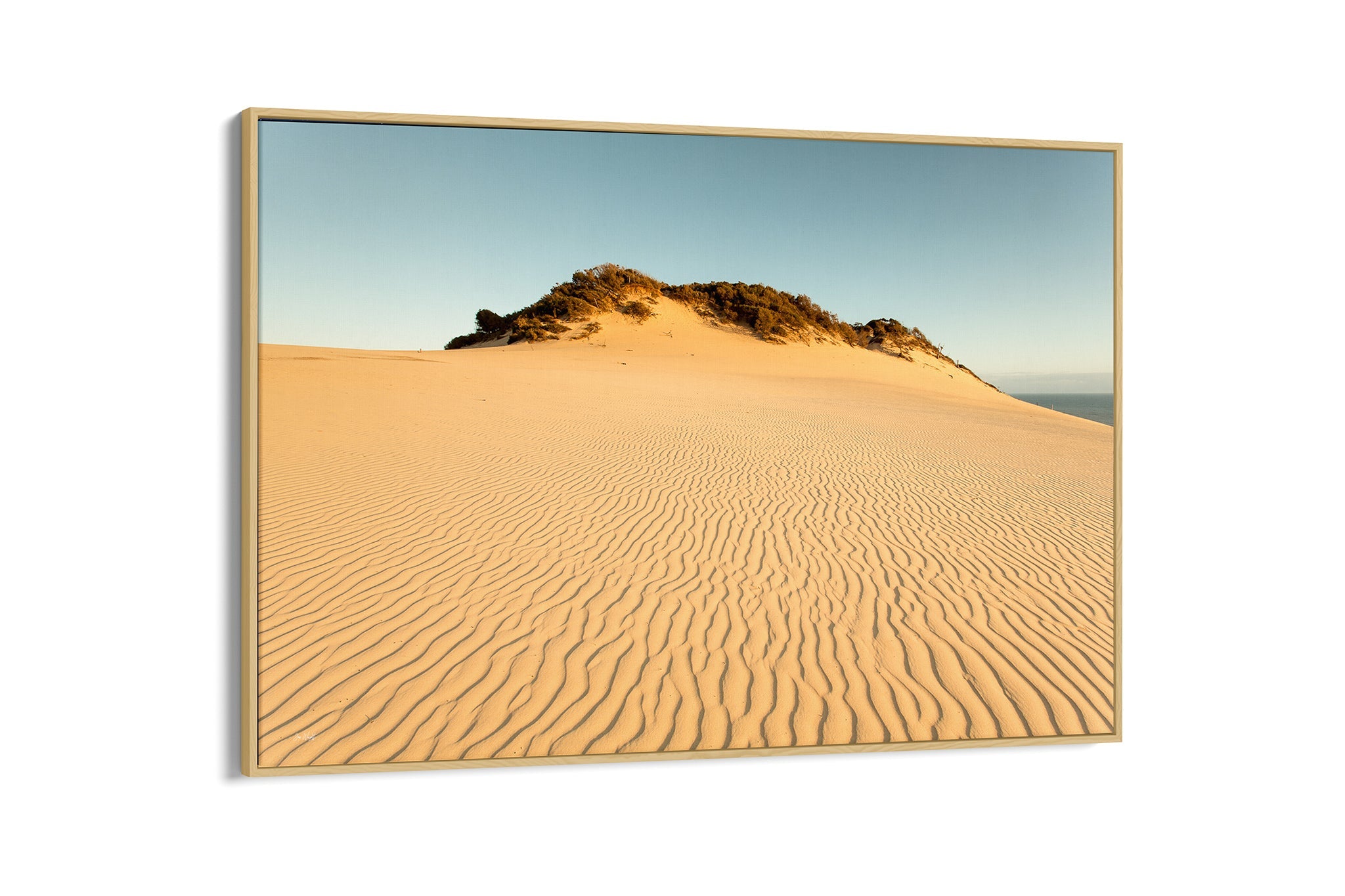 Rainbow Beach golden dunes print shown as an oak float frame canvas.