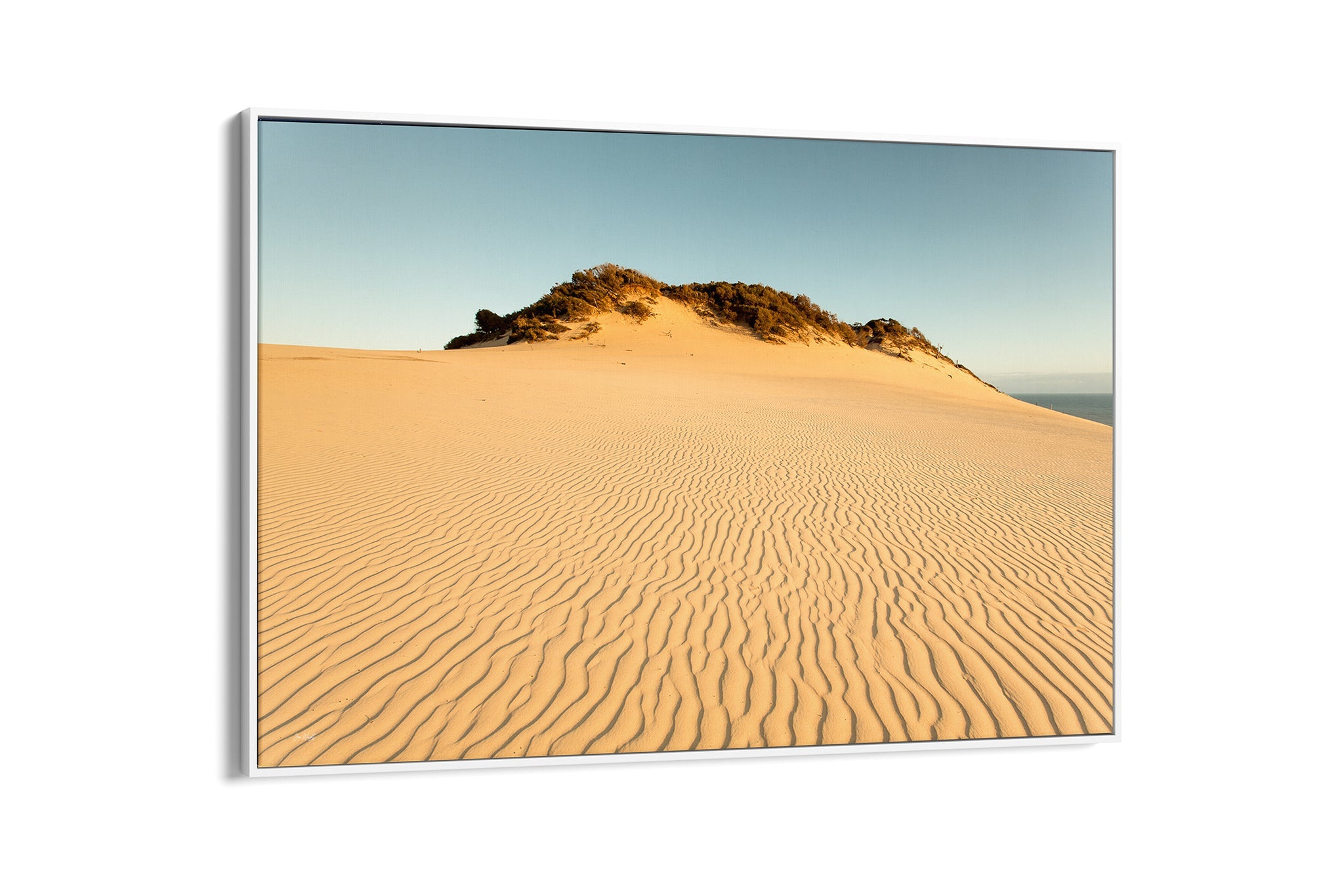Rainbow Beach golden dunes print shown as a white float frame canvas.