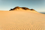 Rippled golden sand sweeps toward a vegetated dune crest at the Carlo Sand Blow, Rainbow Beach, a minimal dune wall print.