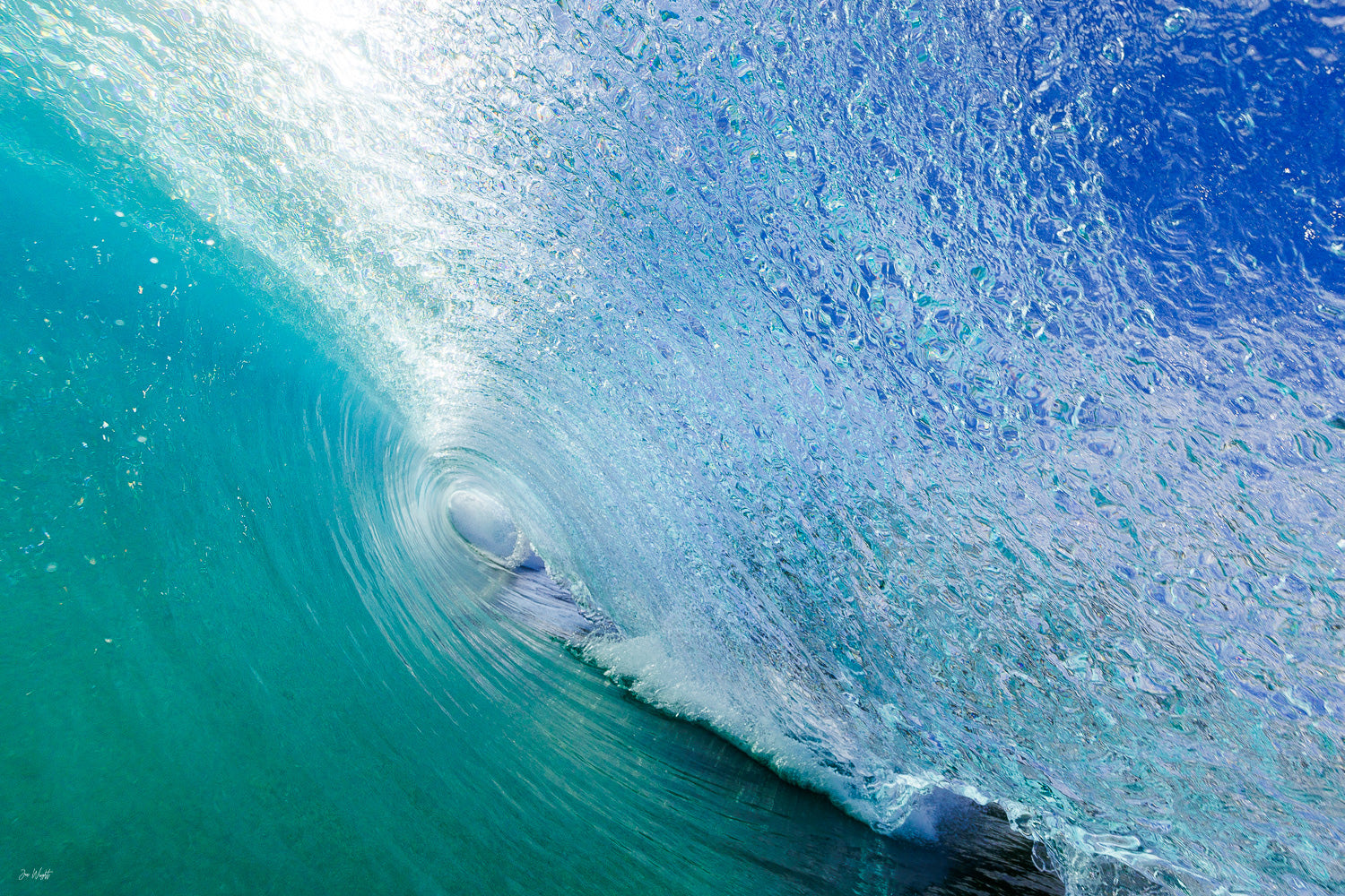 Aqua Eye | Ocean Art Collection