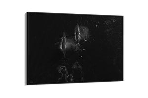 Migration | Wildlife Collection