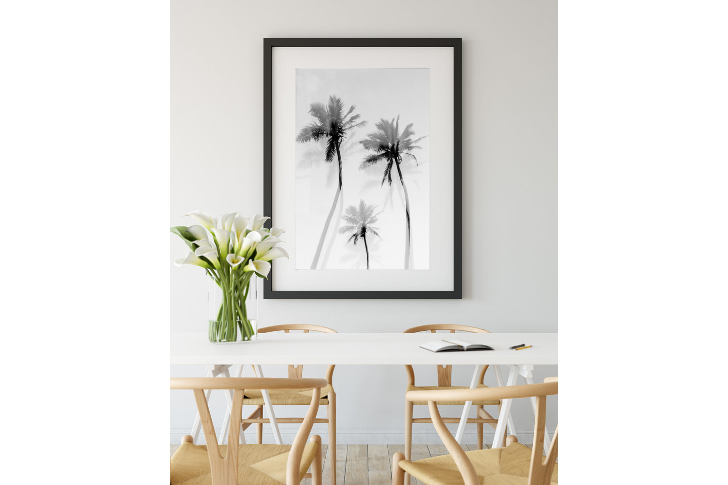 Coastal Palms B&W - Palms Collection