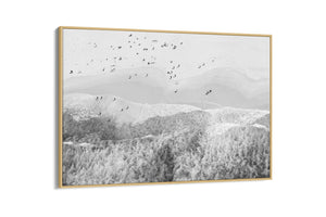 Bondi Beach Wave Form BW - Sydney NSW, Australia