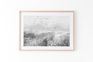 Bondi Beach Wave Form BW - Sydney NSW, Australia