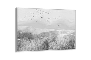 Bondi Beach Wave Form BW - Sydney NSW, Australia