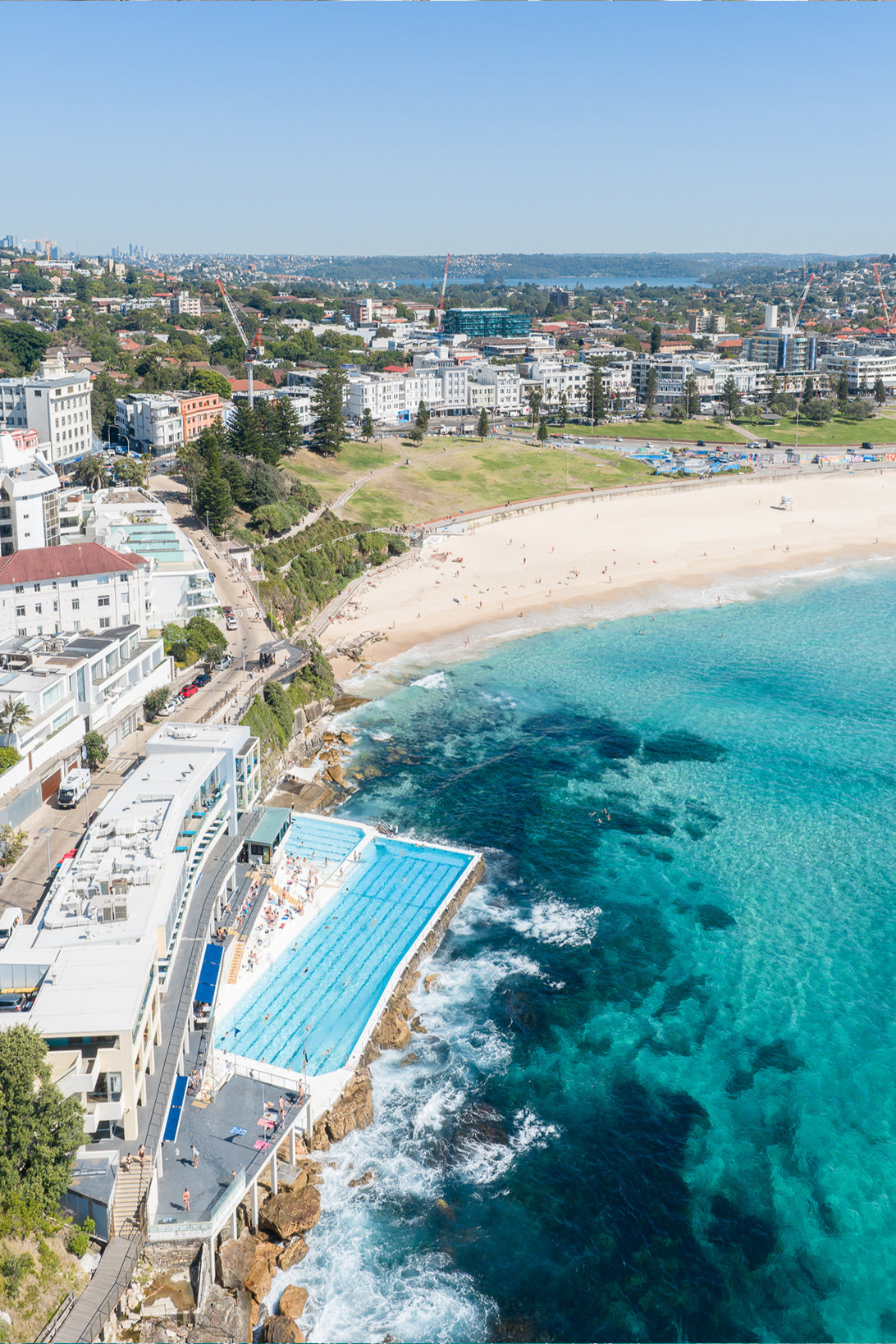 Bondi Beauty - Bondi Beach - Australia