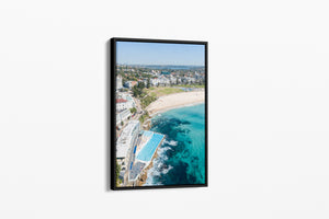 Bondi Beauty - Bondi Beach - Australia