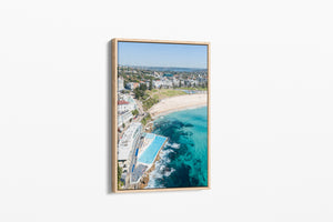 Bondi Beauty - Bondi Beach - Australia
