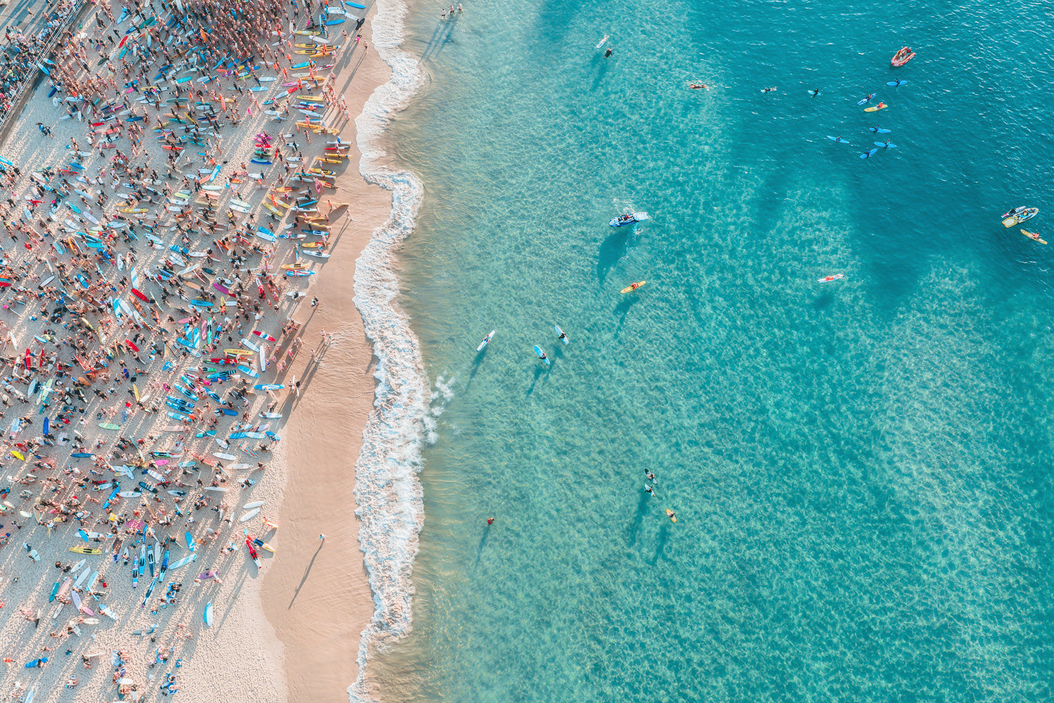 Bondi Paddle Out I - Sydney - NSW, Australia