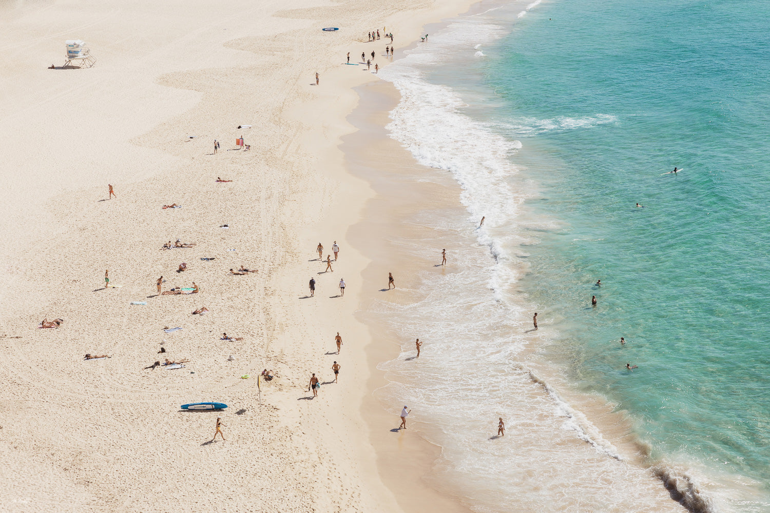 Bondi Beach Perfection - Sydney - NSW, Australia