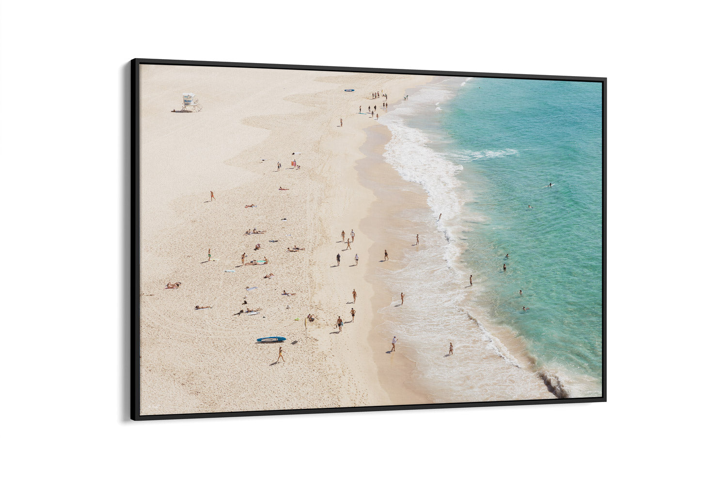 Bondi Beach Perfection - Sydney - NSW, Australia