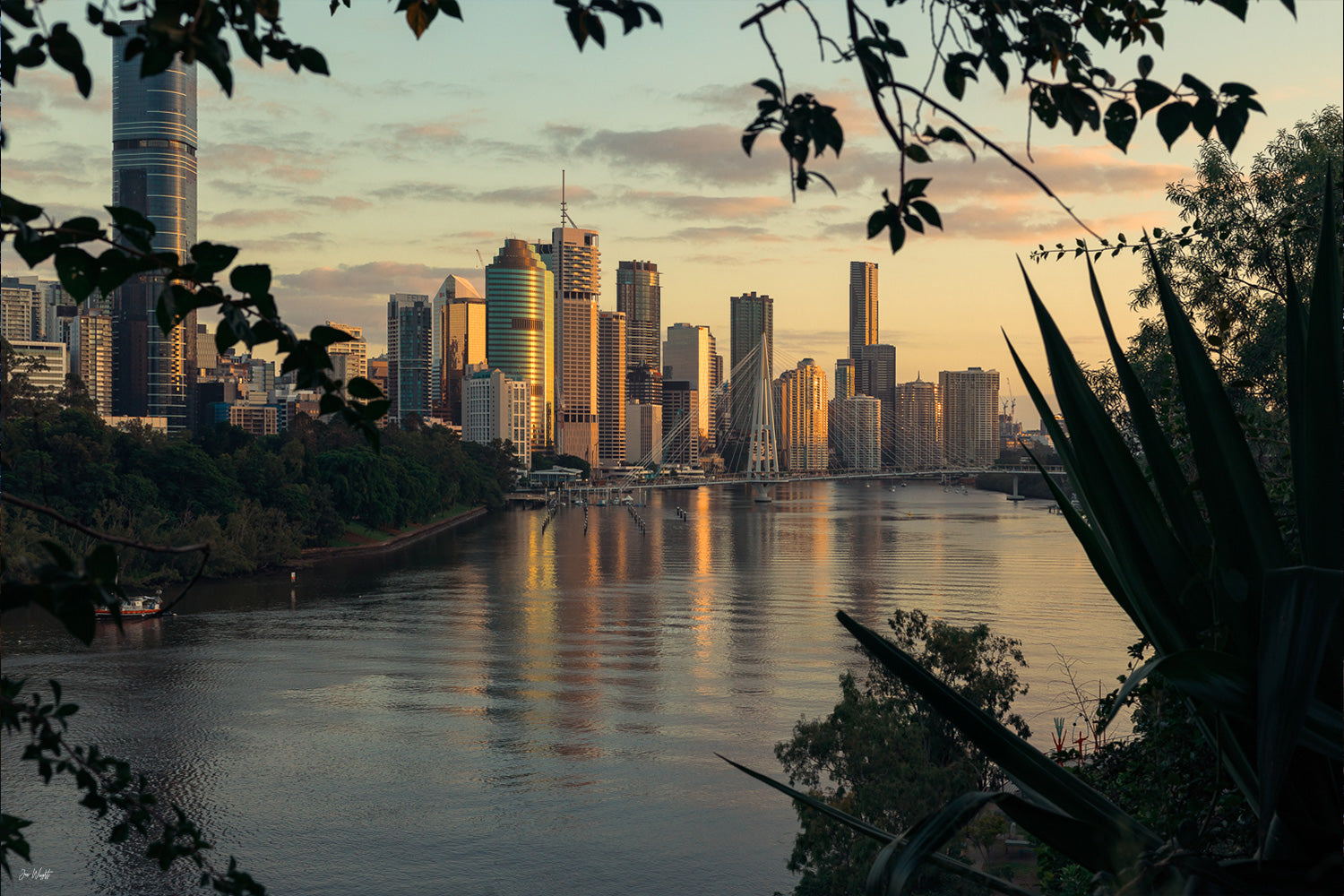 Brisbane City Photography