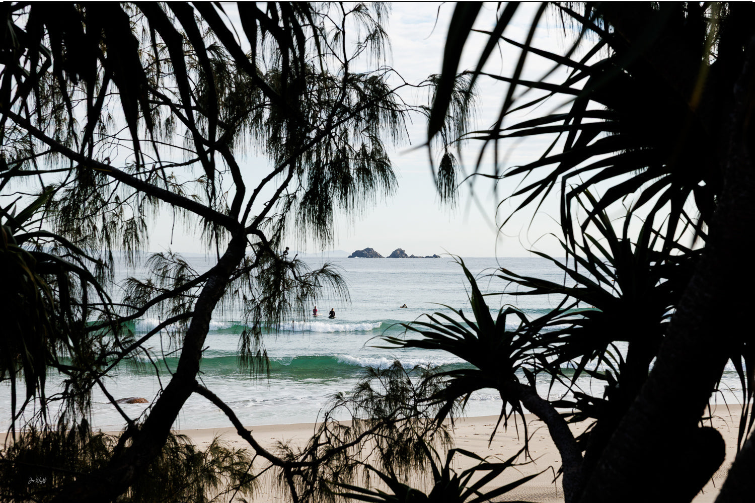 Two surfers wait beyond turquoise waves at Wategos Beach, Byron Bay, framed by casuarina and pandanus, a beach wall print.