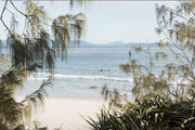 Surfers wait in calm water off Wategos Beach, Byron Bay, hazy hinterland on the horizon, framed by casuarina, a beach wall print.