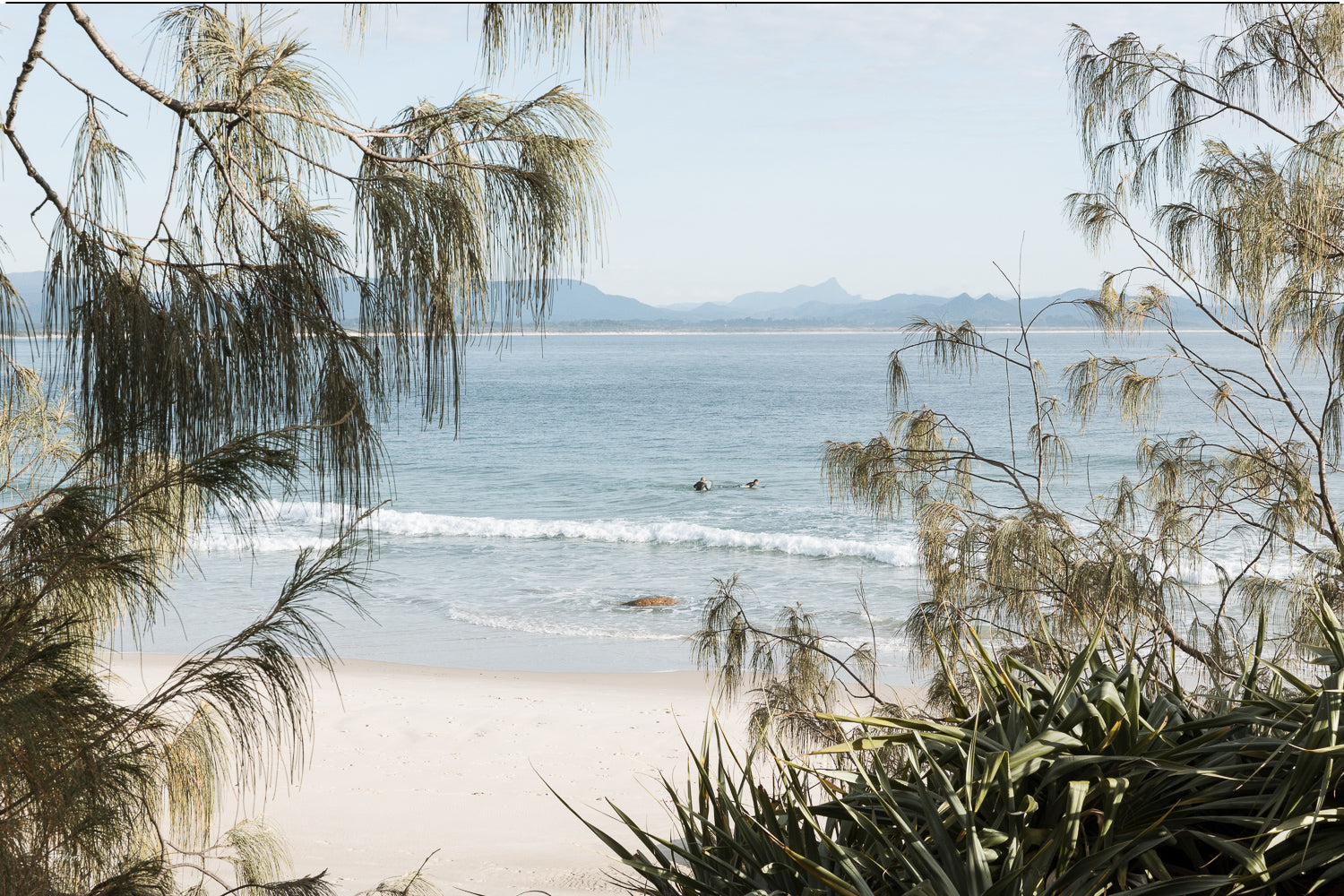 Surfers wait in calm water off Wategos Beach, Byron Bay, hazy hinterland on the horizon, framed by casuarina, a beach wall print.
