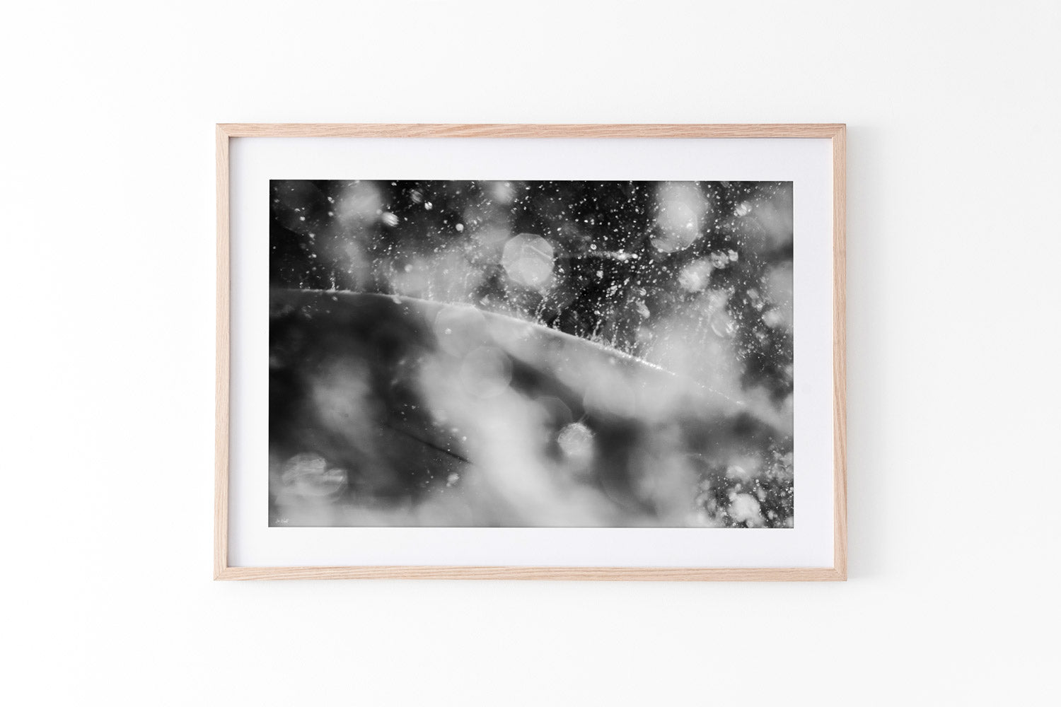Carve | Surf Art Colleciton