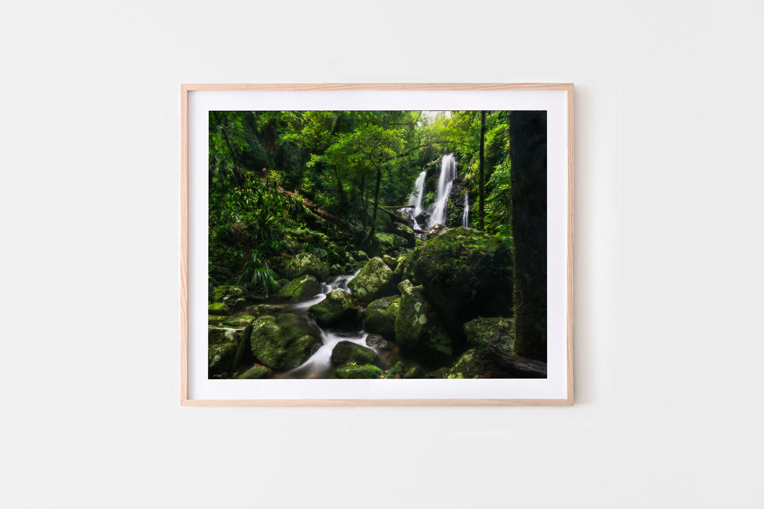 The Valley - Chalahn Falls, Lamington National Park