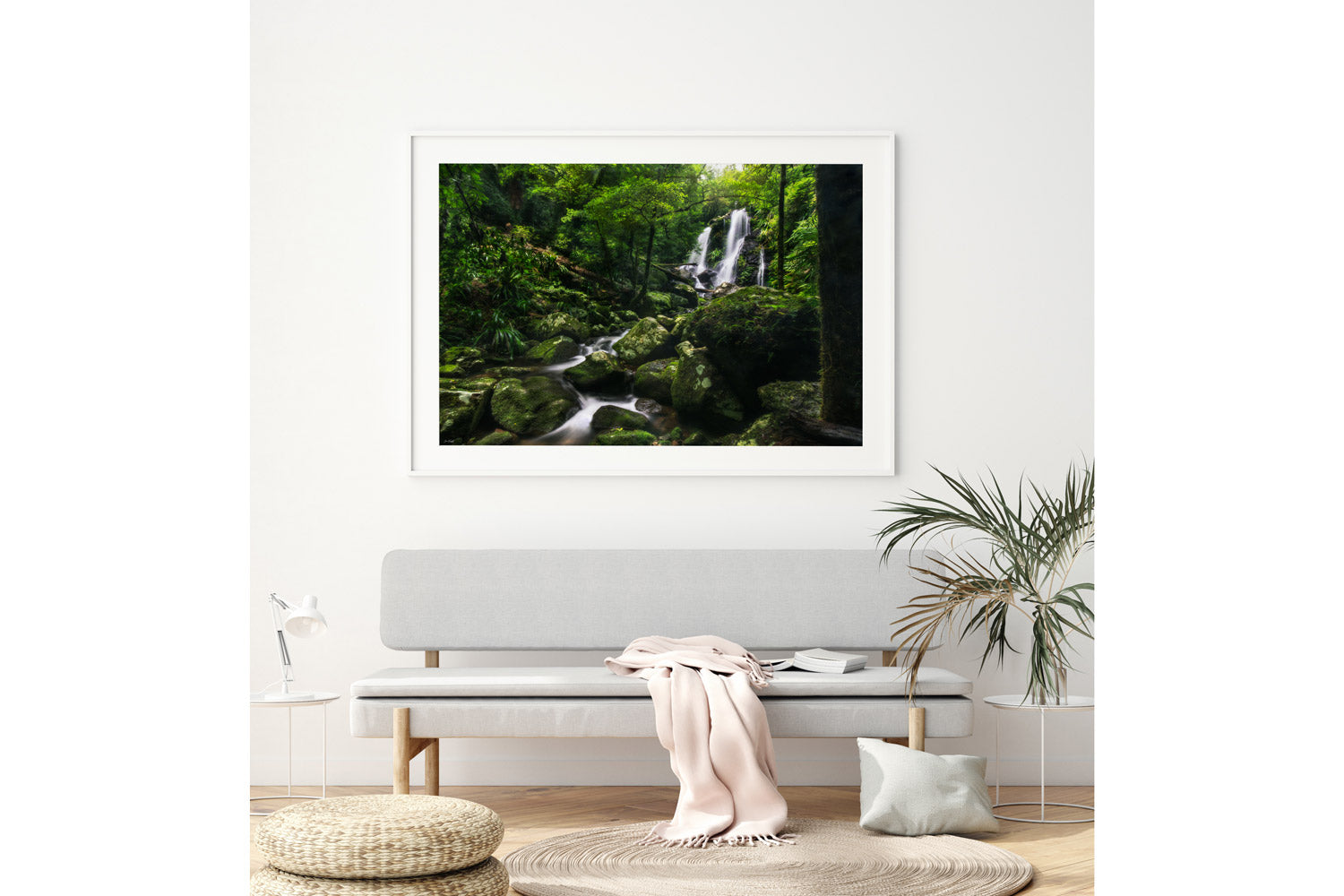The Valley - Chalahn Falls, Lamington National Park