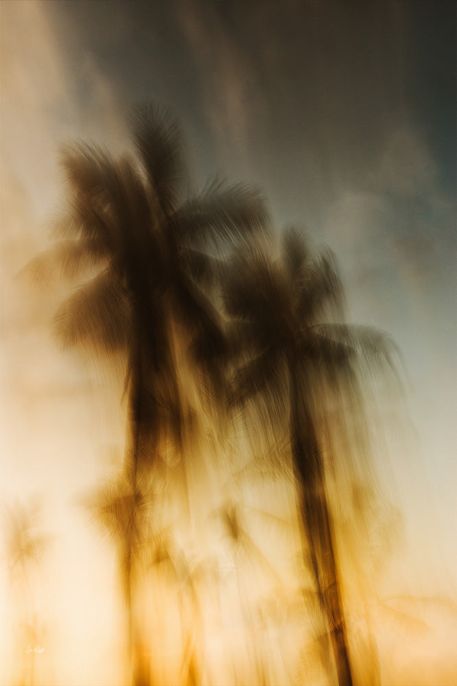 Sundown Paradise - Palms Collection