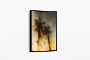 Sundown Paradise - Palms Collection