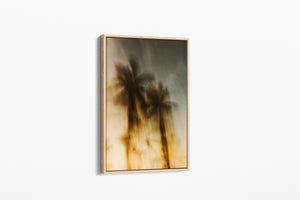 Sundown Paradise - Palms Collection