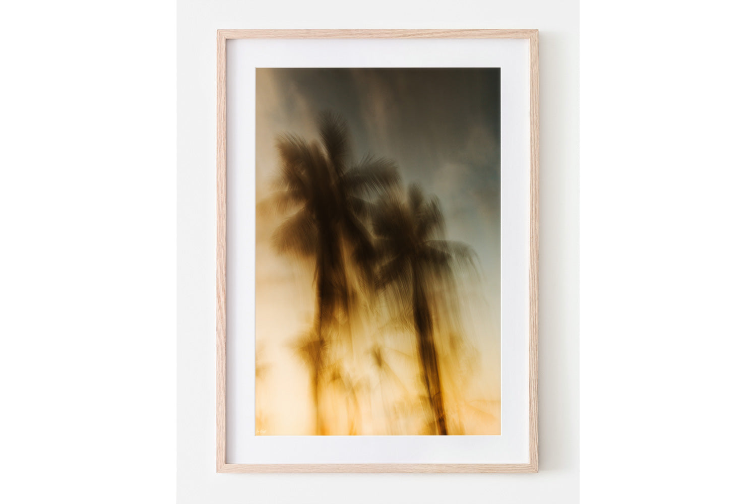 Sundown Paradise - Palms Collection